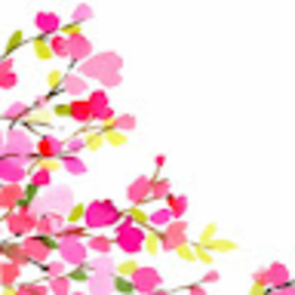 Meet your Posher, Bronwyn